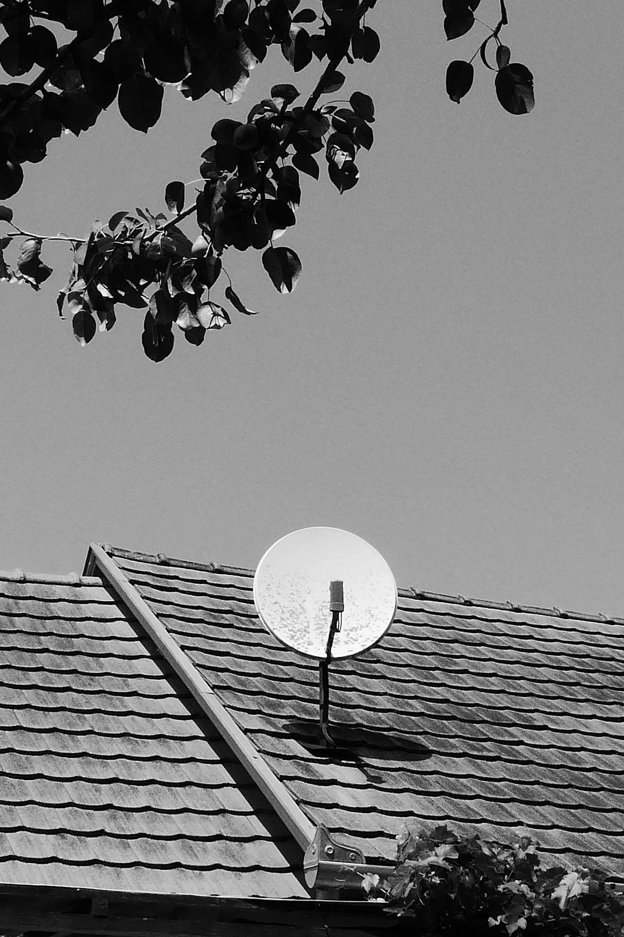 satellite-dish-870327_1920